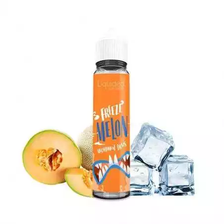 Liquideo Freeze E-liquide Melon 50ml LIQUIDEO FREEZE  NOS E-LIQUIDES MIX 'N' VAPE  Grossiste