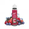 Liquideo Freeze E-liquide Fruits Rouges 50ml LIQUIDEO FREEZE  NOS E-LIQUIDES MIX 'N' VAPE 