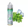 E-liquide Menthe Givrée 50ml (Froosted mint) - Shake & Vape by Silver Cig SILVER CIG  NOS