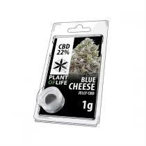 Jelly Blue cheese 22% CBD 1G